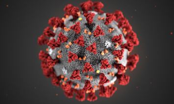 Informace týkající se koronaviru